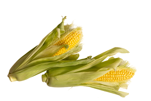 黃金甜玉米粒